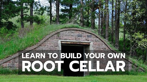 ROOT CELLARS: Learn to Build Your Own Video Course