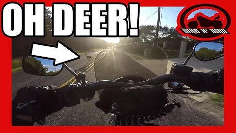 Close Call, GoPro Falls Off, & I BROKE MY BIKE!!!