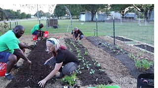 Preparing Our Garden For Fall Planting