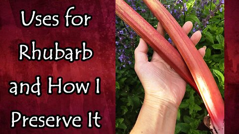 Uses for Rhubarb and My Favorite way to Preserve It