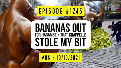 #1245 Bananas Out For Harambe & That Chappelle Stole My Bit