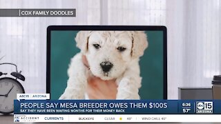 People say Mesa breeder owes them hundreds of dollars in refunds