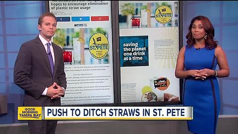 'No Straws St. Pete' campaign hopes to encourage elimination of plastic straw usage