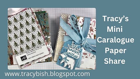 Tracy's Stampin Up Mini Catalogue Paper Share.