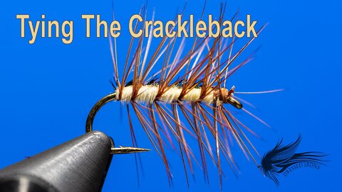 Tying The Crackleback - Dressed Irons