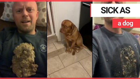 Hilarious video shows aftermath of dog's huge sick on owner's chest