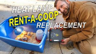 RENT-A-COOP HEAT PLATE for CHICKS