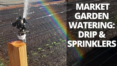 Market Garden Irrigation | Overhead and Drip