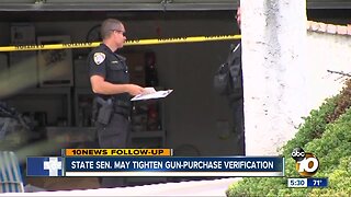 State Senator may tighten gun-purchase verification