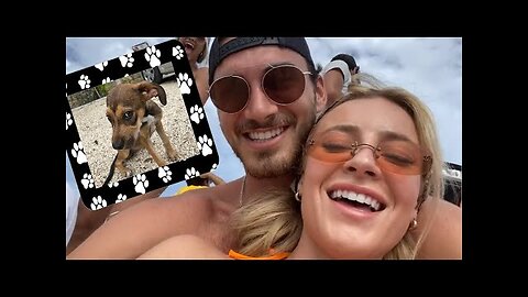 Tulum Vlog! ** we rescued a puppy