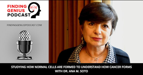 Studying How Normal Cells are Formed to Understand How Cancer Forms with Dr. Ana M. Soto