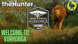 Welcome to Vurhonga, Vurhonga Savanna | theHunter: Call of the Wild (PS5 4K)