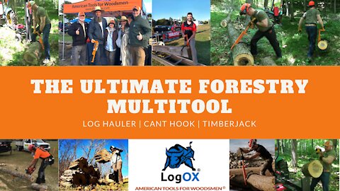 The LogOX is a BACK SAVER for Anyone Processing Firewood or Doing Tree Work. See Why!!