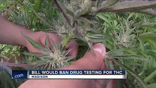 New bill would protect employees by forbidding drug testing for THC