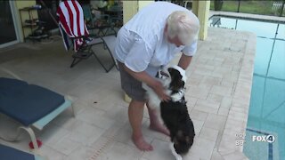 Man calling on Lee County to enforce "Dangerous Animal" policy, after being mauled by a dog