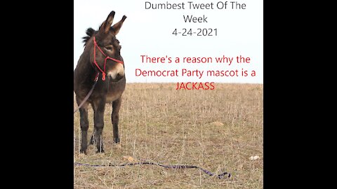 Dumbest Tweet Of The Week 4-24-2021: There's A Reason The Democrat Party Mascot Is A Jackass