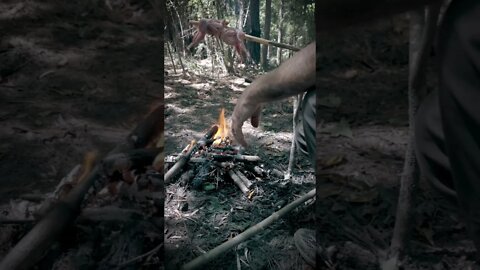 Open fire cooking