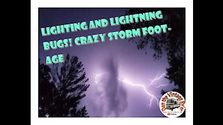 Lightning and Lightning Bugs!