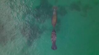Drone shot at Fort Pierce Inlet