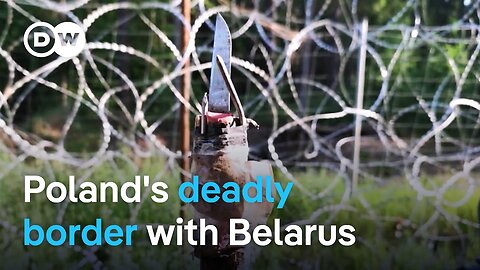 Poland-Belarus border row: Hybrid warfare or refugee crisis? | Focus on Europe