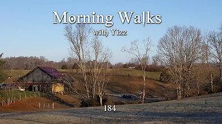 Morning Walks with Yizz 184