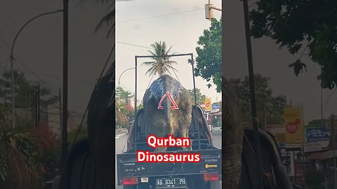 Qurban anti mainstream, pertama didunia, qurban daging dinousaurus #shorts #dinosaurus