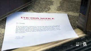 Why the delay on renewing Florida's eviction moratorium?