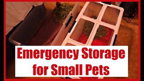 Emergency Pet Storage!