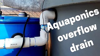 Overflow drain for an aquaponics fish tank (Hybrid aquaponic system)