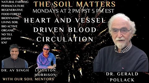 Heart And Vessel Driven Blood Circulation