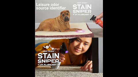 Hilarious Cat Memes - XW Lanterna UV Stain Sniper da Angry Orange