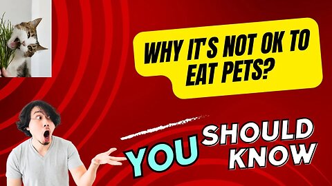 Youth Learns Why It's Not OK to Eat Pets? Here are a few ways to approach this topic