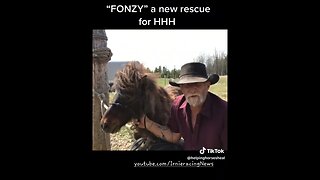 REAL CDN COWBOY - New Rescue "Fonzy"