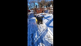 Moving snow on this single digit day getting ready to move some cattle