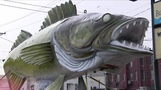 Port Clinton's Walleye Festival is back for its 40th year