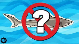 What If There Were No Sharks?