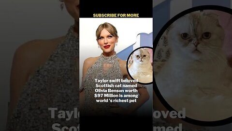 Taylor Swift cat is worth 97 million