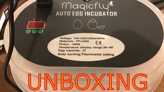 Unboxing of the Magicfly Incubator