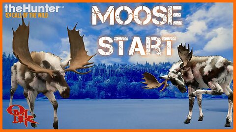 Our Biggest Piebald Moose Had Me Thinking Super Rare - theHunter: Call of the Wild