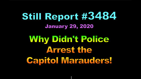 Why Didn’t Police Arrest the Capitol Marauders?, 3484
