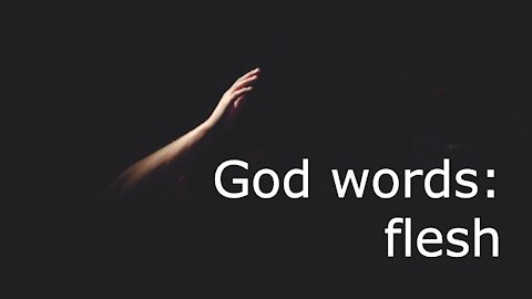 God words: flesh