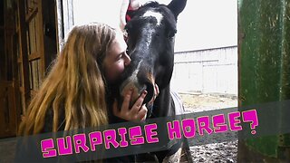Surprise Christmas Horse?