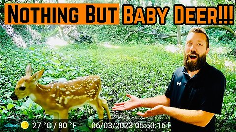 FAWN Footage ONLY!!!