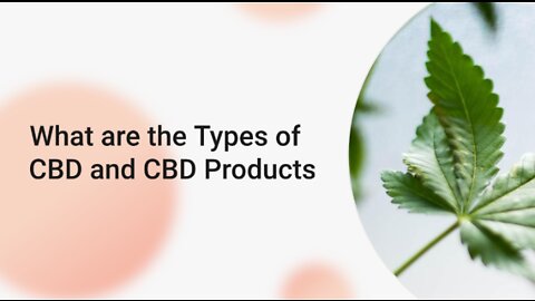 What Are The Types of CBD and CBD Products