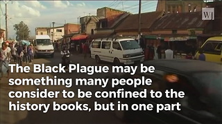 9 More Countries on High Alert When New Strain of Plague Spreads From Madagascar