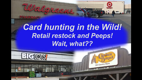 Card Hunting in the Wild Episode 101-- Restock and exploding what???