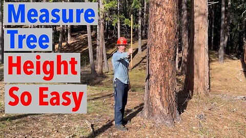 How to Measure the Height of a Tree - Simple