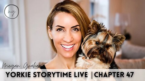 Yorkie Storytime Live | Chapter 47