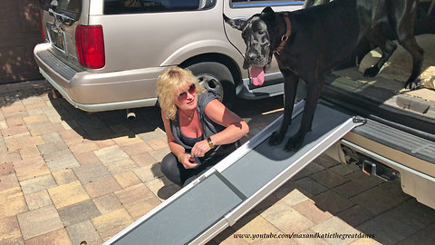 Dog teaches puppy to climb into an SUV