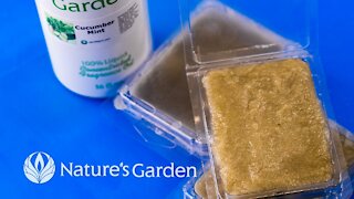 Whip Up a Green Tea Solid Sugar Scrub with Natures Garden